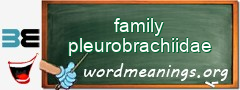 WordMeaning blackboard for family pleurobrachiidae